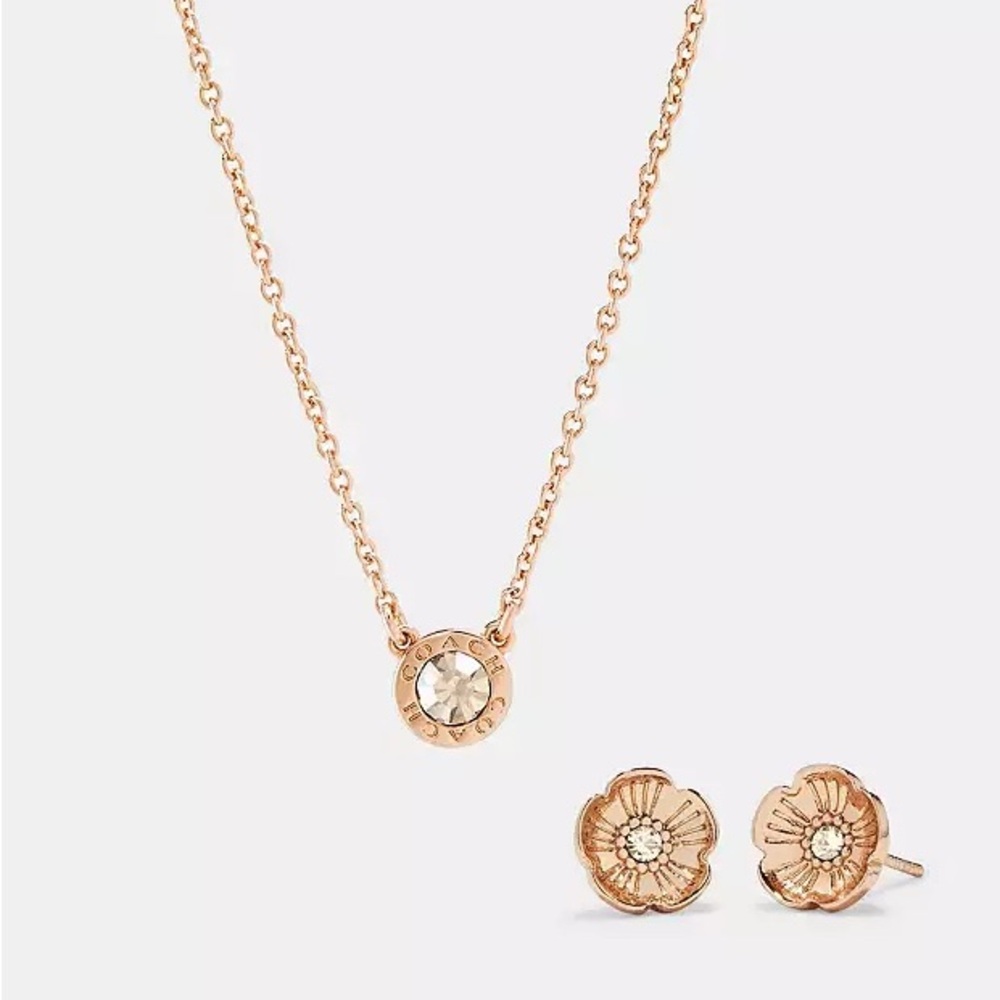 Coach Rose Gold Necklace and Earring Set